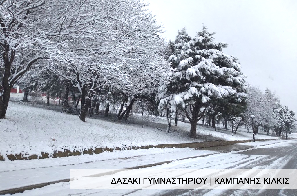 DASAKI_GIMNASTIRIOU_KAMPANIS_XIONIA.jpg