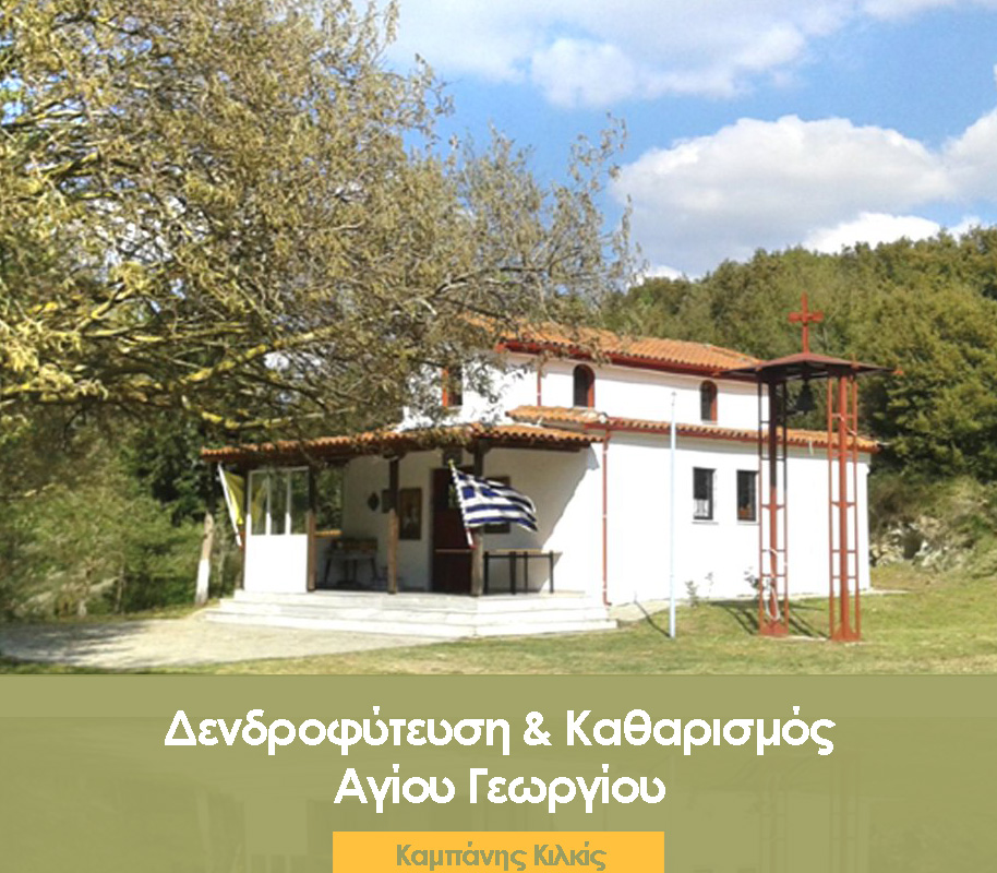 🌳 Δενδροφύτευση και Καθαρισμός του Αγίου Γεωργίου