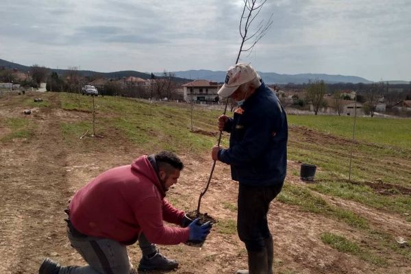 kampanisgr-550759776-B73B-626B-9CF1-7D861E631D5B.jpg
