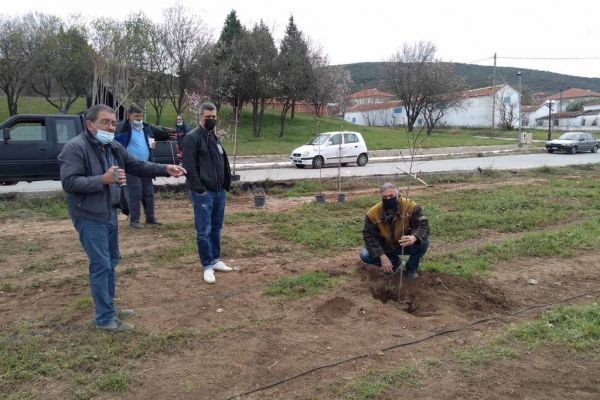 kampanisgr-7EBEF180F-2804-9F85-0AB2-2DE8AF1490F9.jpg