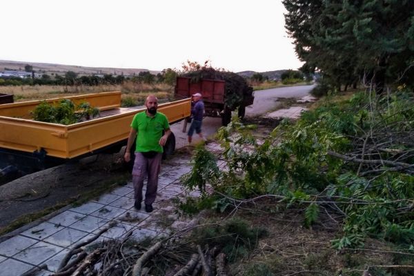 kampanisgr-112EC15486-AA4E-0392-EA2E-98118F2BAEA6.jpg